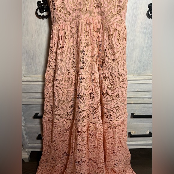 Dress The Population Melina Lace Maxi Gown Rose Petal Plunge Cocktail Formal - Picture 6 of 12